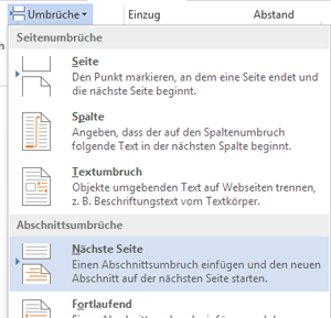 Seitenumbruch Word 2013